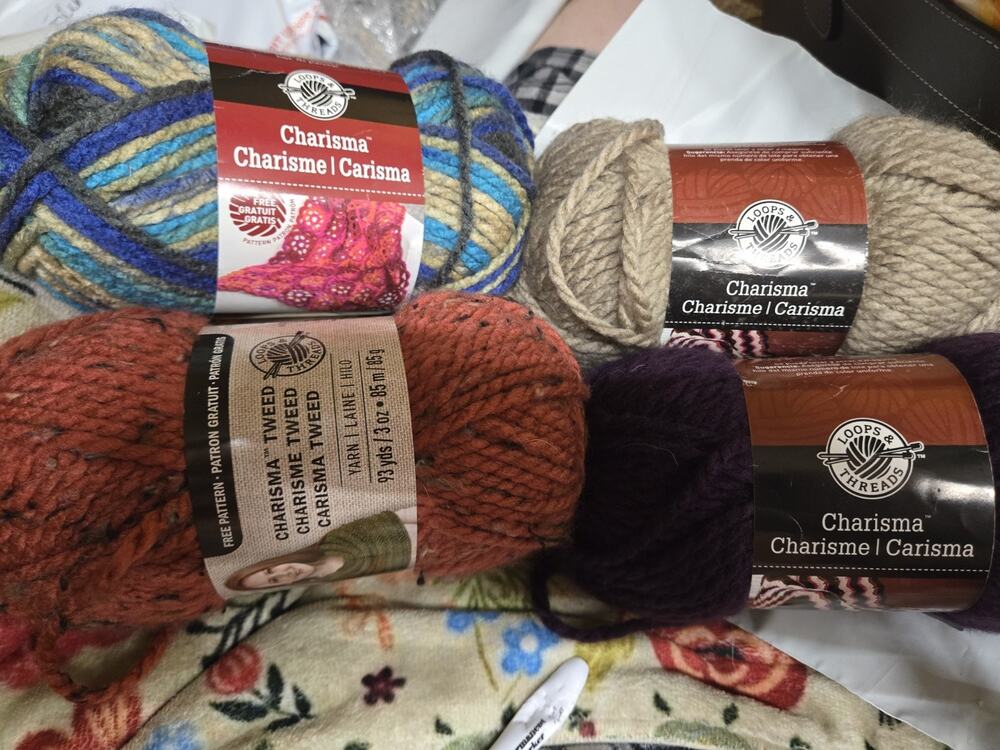 Loops & Threads Charisma Yarn Lot of 4 Skeins Bulky #5 Tweed Mix NEW